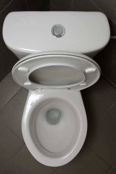Why Is My Toilet Not Flushing ?